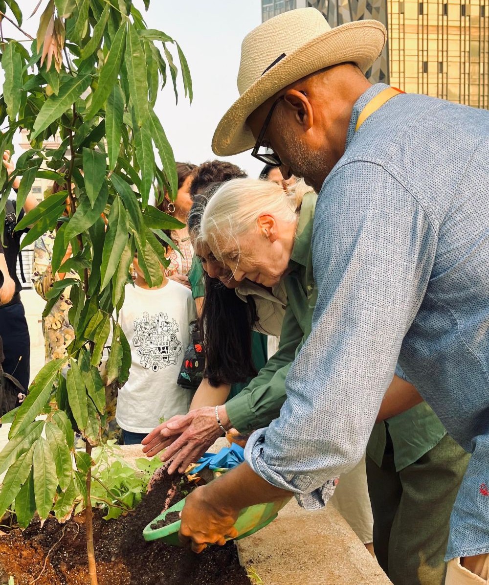 Dr. Jane Goodall planting a sapling at the GROW LAB inauguration